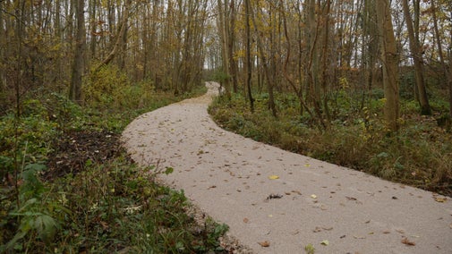 The multi-use trail in woodland at Wimpole Estate, Cambridgeshire